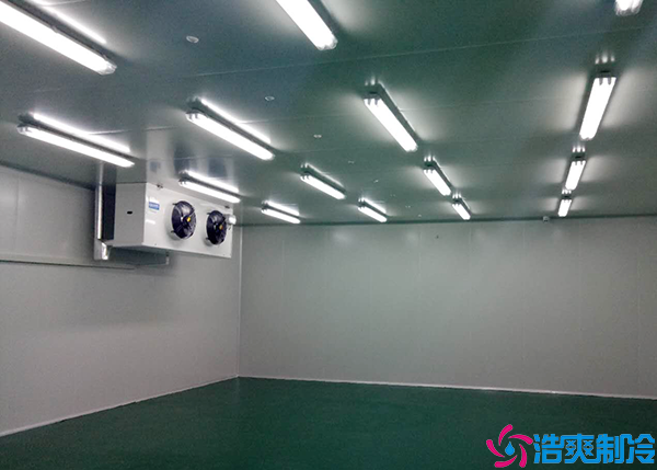 水产菠萝蜜在线观看