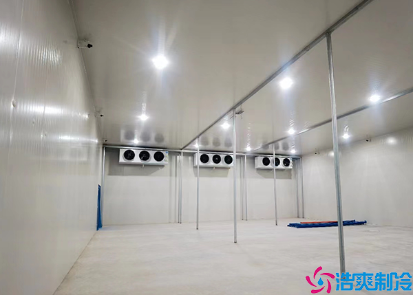 大型生鲜菠萝蜜在线观看