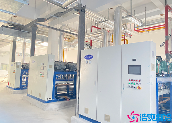 花卉小型菠萝蜜在线观看