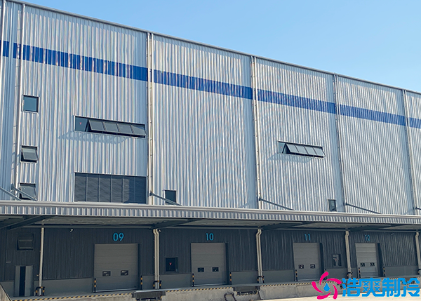 物流菠萝蜜在线观看