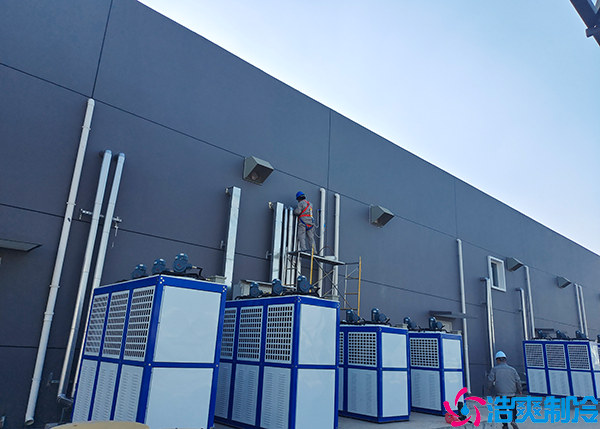 物流菠萝蜜在线观看