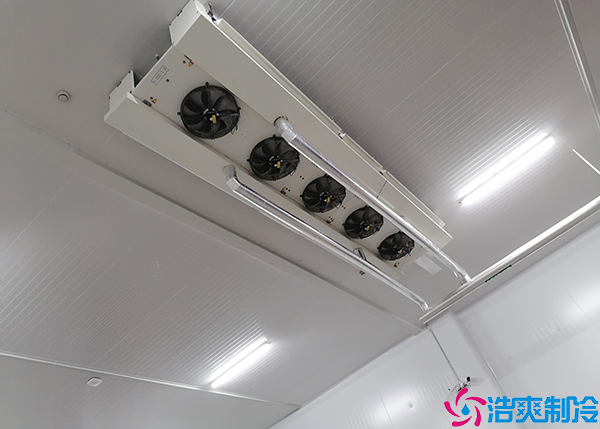 光纤测温与菠萝蜜在线观看测温