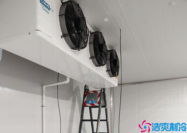 扬州菠萝蜜在线观看