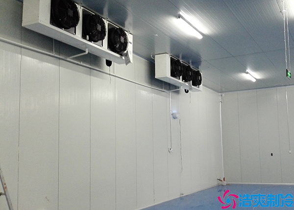 小型物流菠萝蜜在线观看