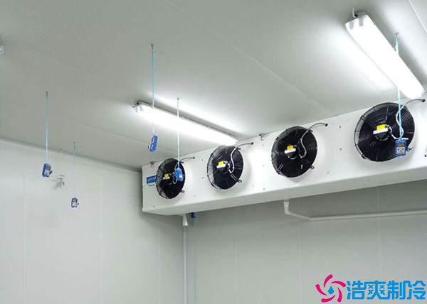 预菠萝蜜在线观看