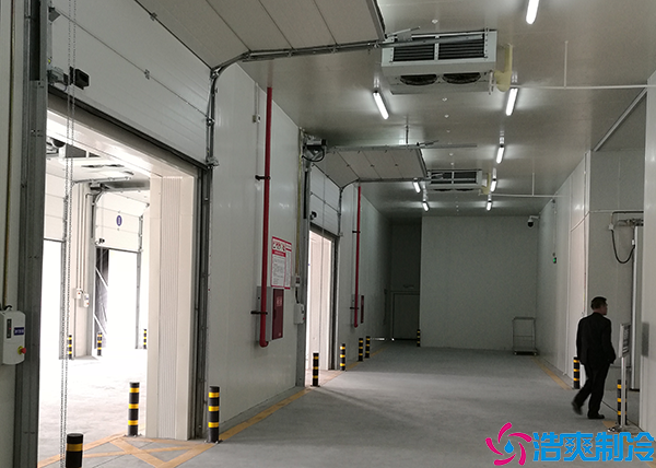 物流菠萝蜜在线观看