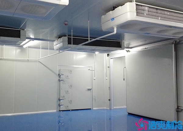 超低温菠萝蜜在线观看