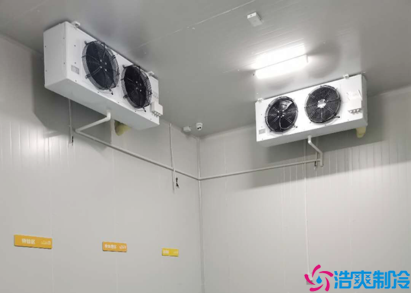 葡萄气调保鲜菠萝蜜在线观看