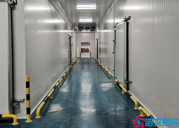 葡萄气调保鲜菠萝蜜在线观看