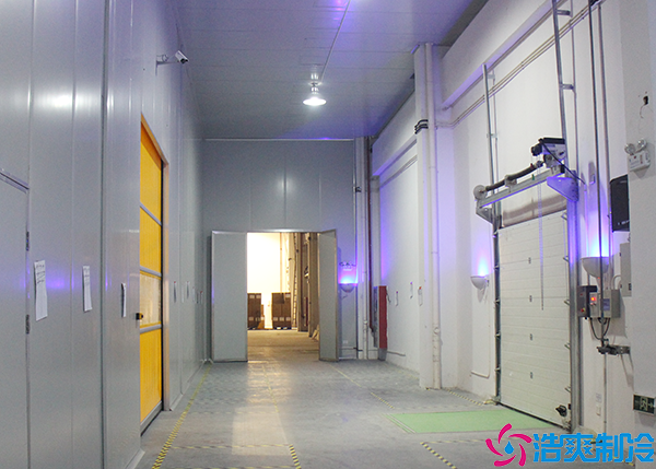 食品菠萝蜜在线观看