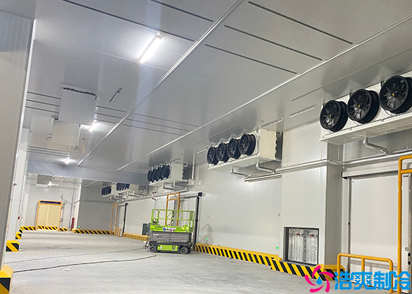 气调保鲜菠萝蜜在线观看