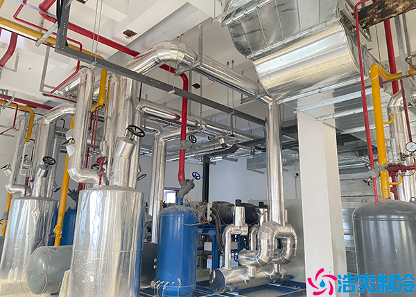 速冻菠萝蜜在线观看