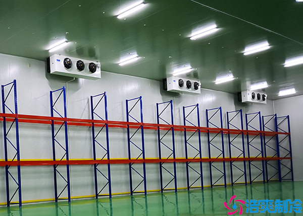 牛肉菠萝蜜在线观看