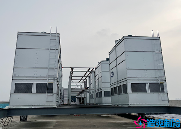 组合菠萝蜜在线观看