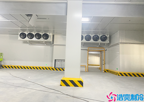 大型食品菠萝蜜在线观看