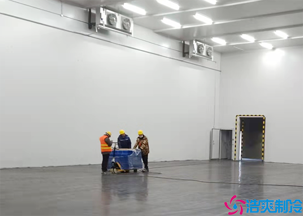 菠萝蜜在线观看