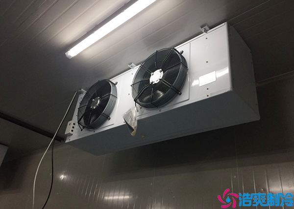 微型气调保鲜菠萝蜜在线观看