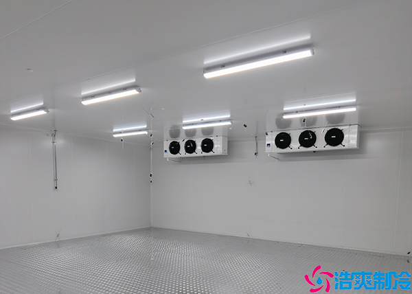 食品小型菠萝蜜在线观看