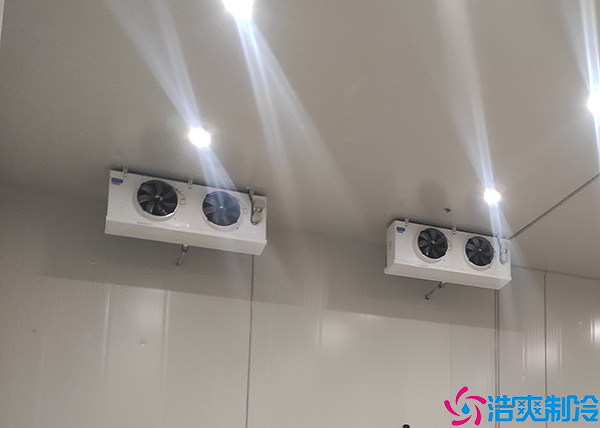 花卉菠萝蜜在线观看