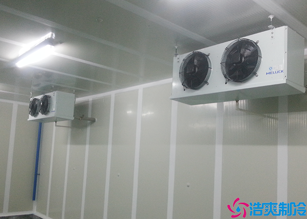 牛肉菠萝蜜在线观看