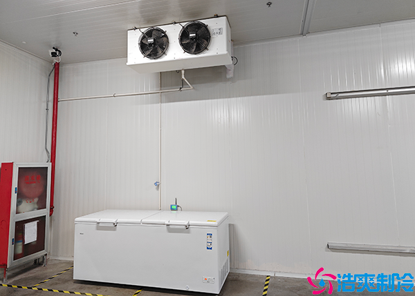 食品菠萝蜜在线观看