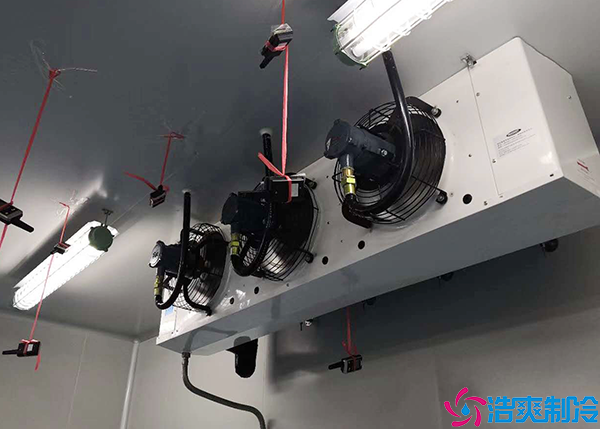 物流菠萝蜜在线观看安装