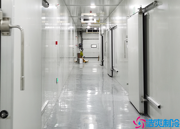 组合式菠萝蜜在线观看