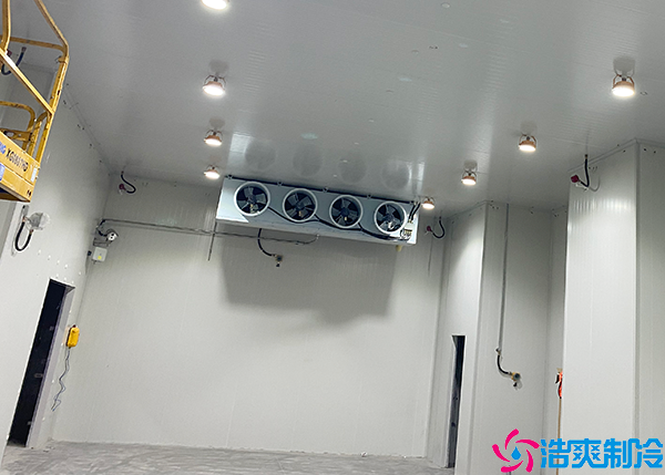 预菠萝蜜在线观看