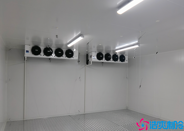 牛肉小型菠萝蜜在线观看