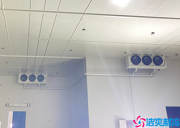 大型菠萝蜜在线观看