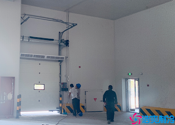 大型菠萝蜜在线观看