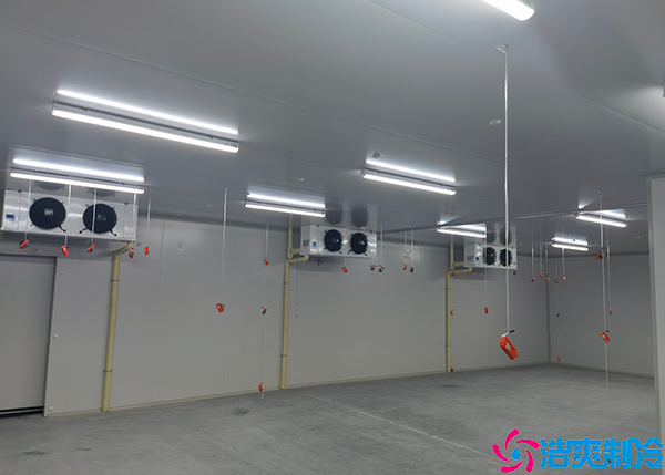 酒店菠萝蜜在线观看