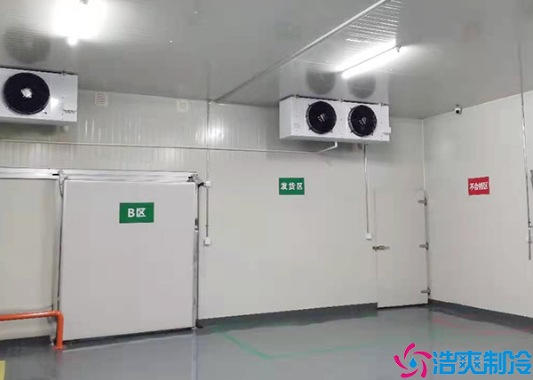 蔬菜保鲜菠萝蜜在线观看