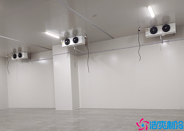 大型菠萝蜜在线观看