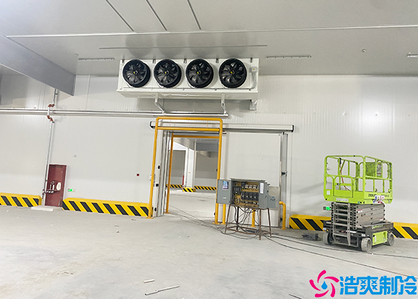 食品菠萝蜜在线观看