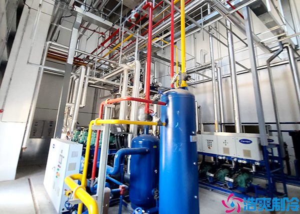 大型预菠萝蜜在线观看设备