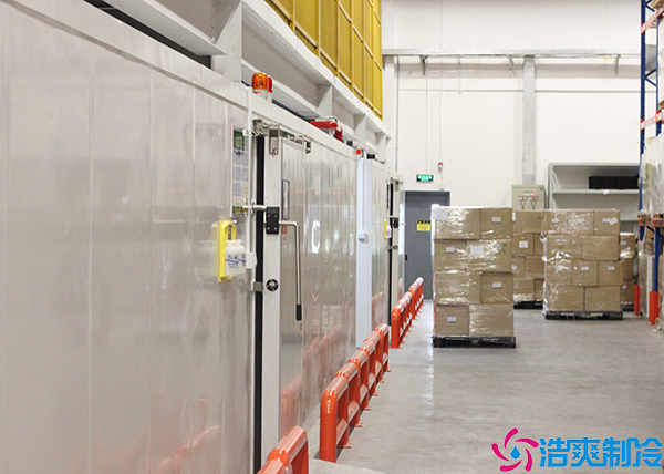 综合物流菠萝蜜在线观看