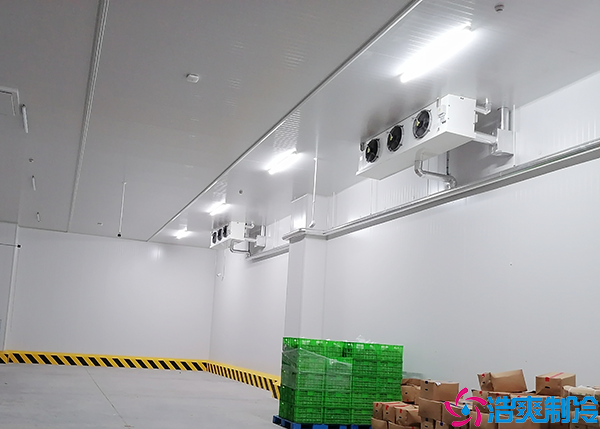 葡萄气调菠萝蜜在线观看