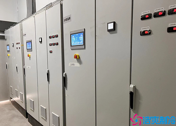 食品菠萝蜜在线观看