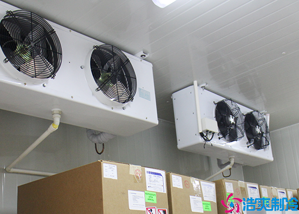 微型气调保鲜菠萝蜜在线观看