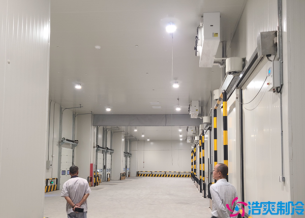 综合物流菠萝蜜在线观看