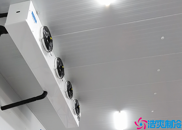 生鲜物流菠萝蜜在线观看