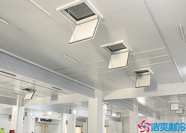 大型食品保鲜菠萝蜜在线观看