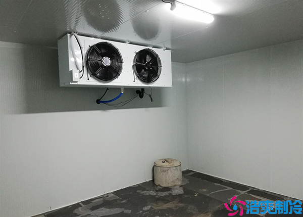 微型果蔬菠萝蜜在线观看