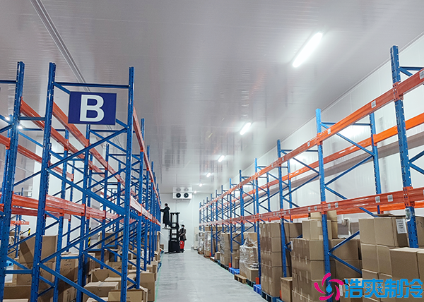 食品加工菠萝蜜在线观看