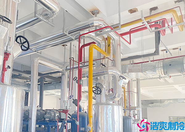 大型物流菠萝蜜在线观看