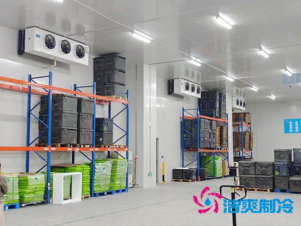 大型菠萝蜜在线观看造价多少钱