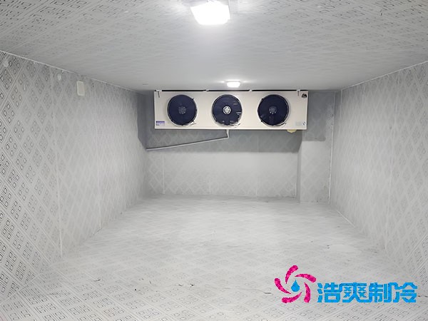 保鲜菠萝蜜在线观看造价多少钱