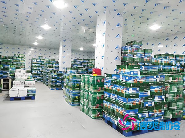 果蔬保鲜菠萝蜜在线观看造价多少钱，水果菠萝蜜在线观看建造价格表