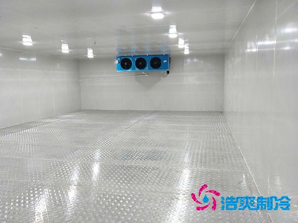 建造一个餐饮双温菠萝蜜在线观看造价成本需要多少资金？